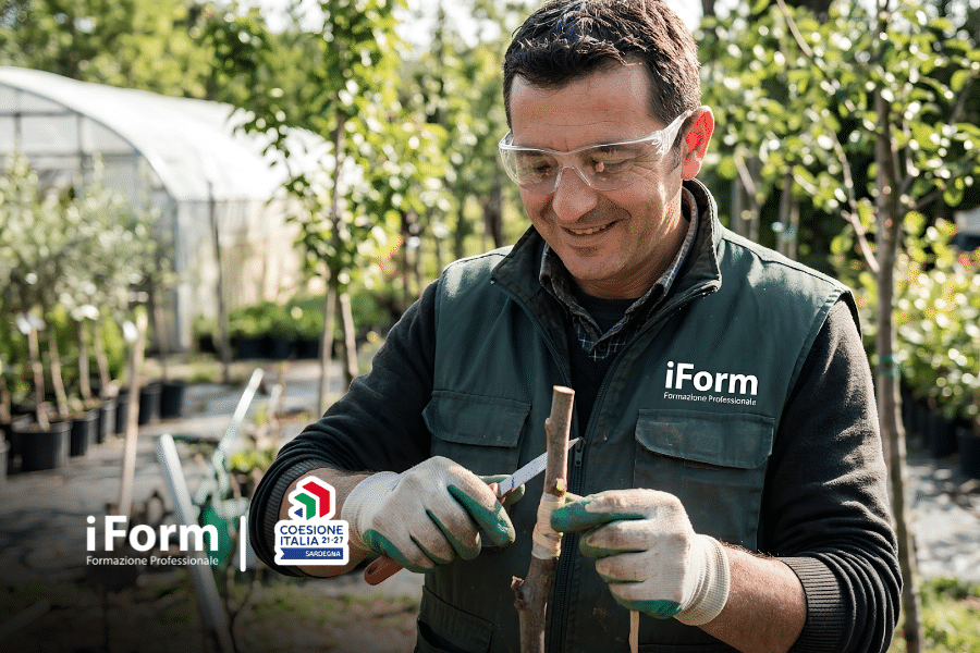 Corso gratuito di addetto alle operazioni d’innesto – JTF Sardegna